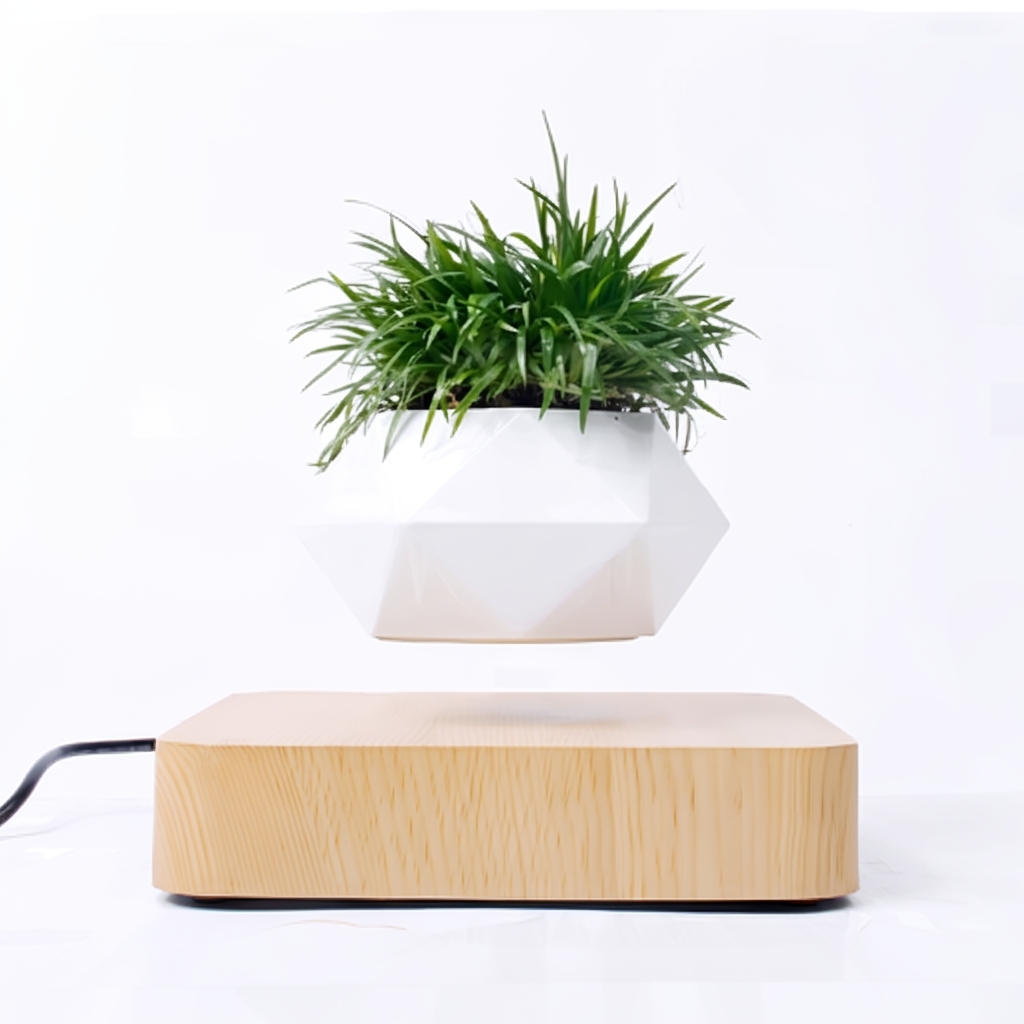 Levitating Flower Pots